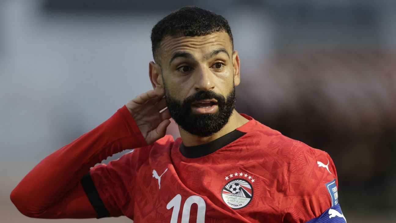 FIFA要求埃及世界杯球衣移除7颗星 标志需按规则调整